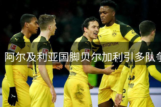 阿尔及利亚国脚贝尔加利引多队争夺 维罗纳标价千万欧元